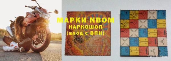 тгк Алзамай